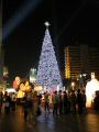 ALCoB2009-11-26-873.jpg