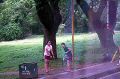 Vph2011_07210693-207.jpg