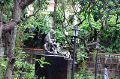 Vph2011_07250500-500.jpg