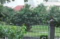 Vph2011_07250518-518.jpg