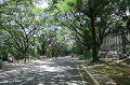 Vph2011_07230361-039.jpg