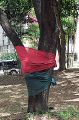 Vph2011_07230367-045.jpg