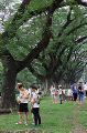 Vph2011_07230413-091.jpg