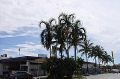 Vph2011_07240018-018.jpg