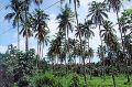 Vph2011_07240035-035.jpg