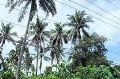 Vph2011_07240042-042.jpg