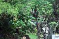 Vph2011_07240044-044.jpg