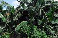 Vph2011_07240047-047.jpg