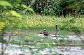 Vph2011_07240048-048.jpg