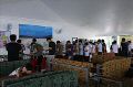 Vph2011_07240069-069.jpg