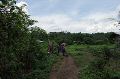 Vph2011_07240133-133.jpg