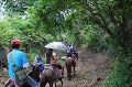Vph2011_07240136-136.jpg