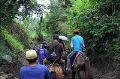 Vph2011_07240137-137.jpg