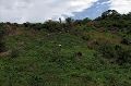Vph2011_07240160-160.jpg